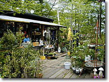 八ケ岳倶楽部・店内