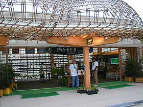 土の力・発見館