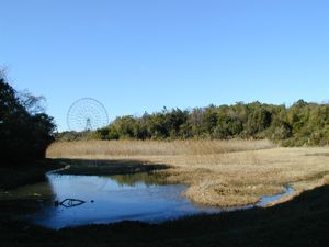 葛西臨海公園