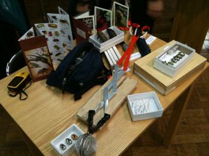 西田さんが使っている道具や昆虫のコレクション。 西田さんが使っている道具や昆虫のコレクション。