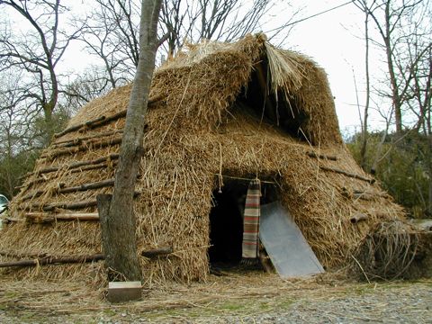竪穴式住居写真 竪穴式住居