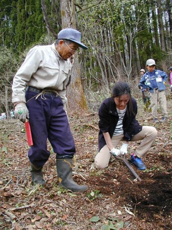 再度、穴掘りに挑戦します 再度、穴掘りに挑戦します