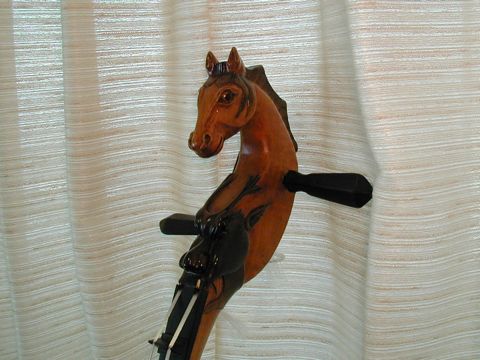 馬頭琴写真 馬頭琴