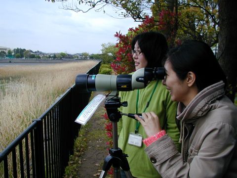写真 写真