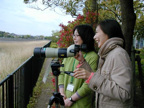 写真 写真