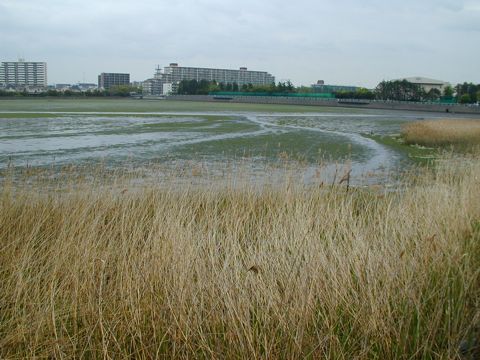 写真 写真