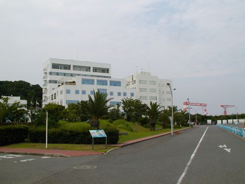 写真 写真