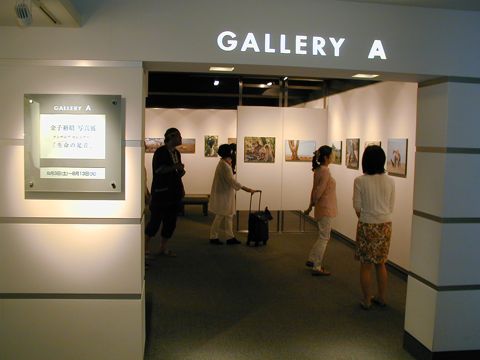 金子裕昭さん写真 金子裕昭さん写真