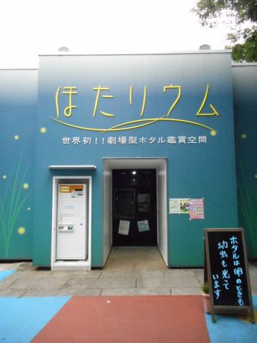 ほたリウム