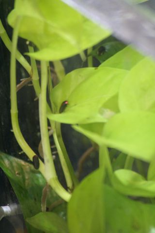 写真協力:東武動物公園