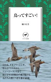 『鳥ってすごい!』