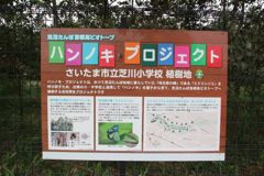 見沼たんぼ 首都高ビオトープ