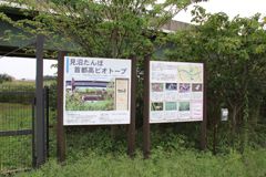 見沼たんぼ 首都高ビオトープ