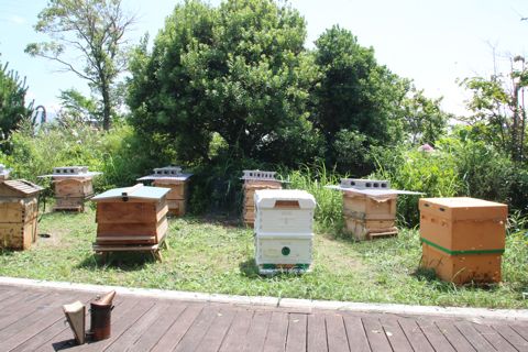 千葉大学・西千葉キャンパス内の校舎屋上に設置された巣箱。