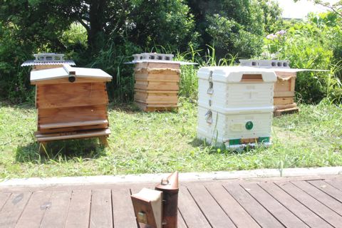 千葉大学・西千葉キャンパス内の校舎屋上に設置された巣箱。