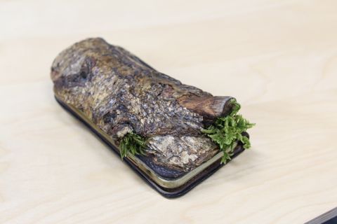 苔が生えた木片!? いえいえスマホケースです!