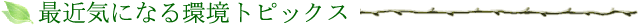 �u�ŋߋC�ɂȂ���g�s�b�N�X�v